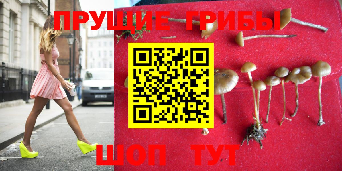 купить  сайты  Вход с VPN  Псилоцибиновые грибы Magic Shrooms  Красноуфимск  Псилоцибиновые грибы Psilocybine cubensis 